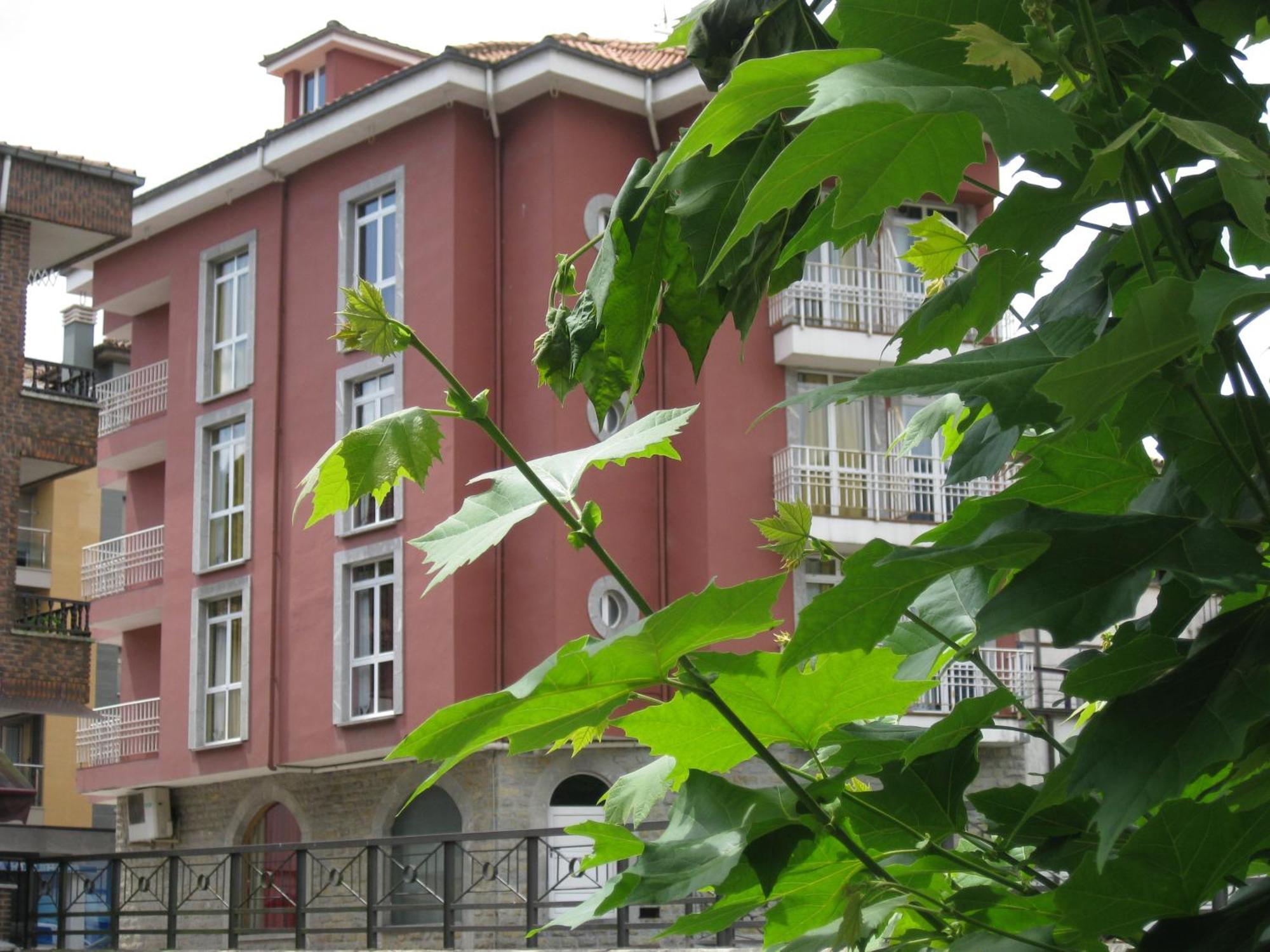 Los Acebos Cangas Onís Екстериор снимка